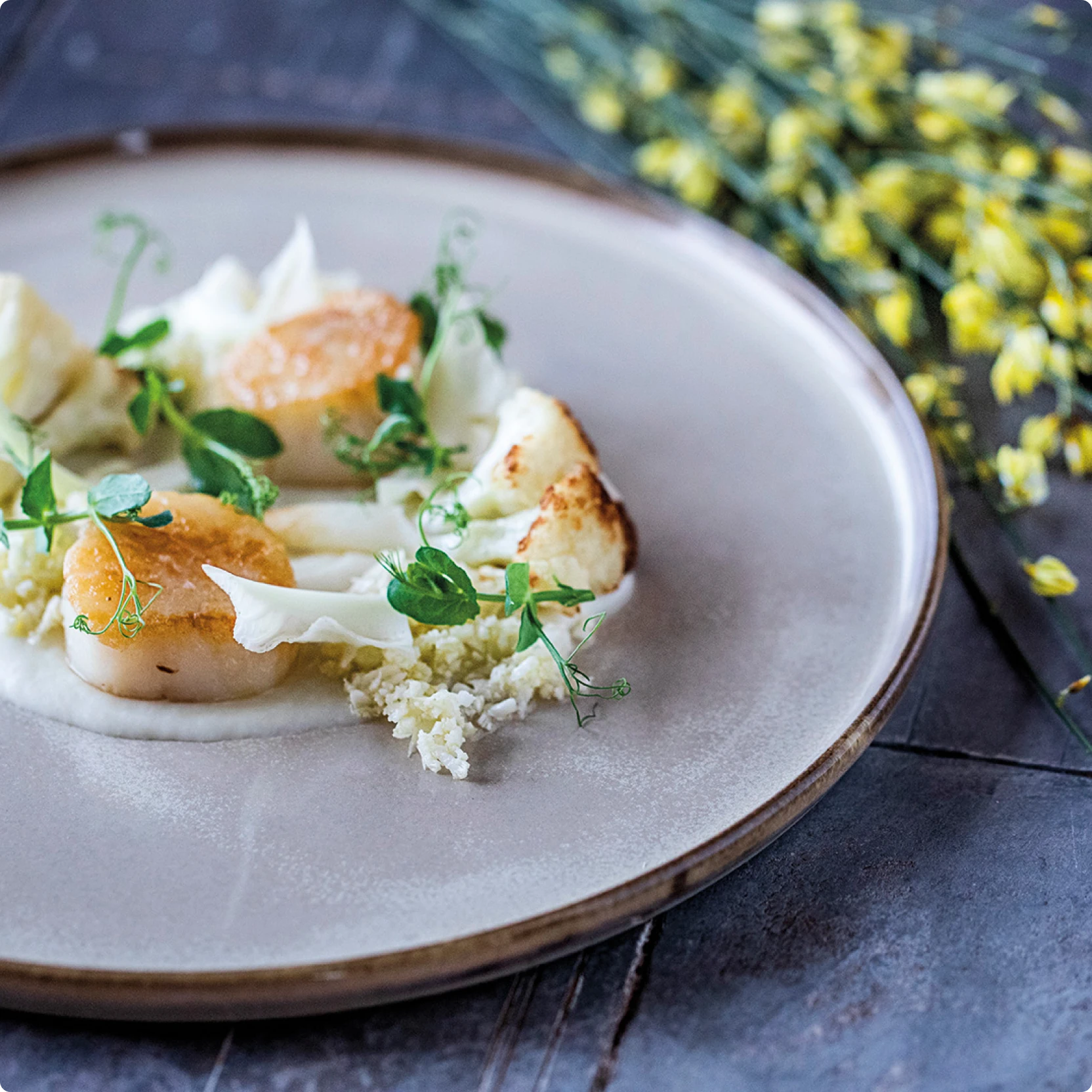 Сервировочная посуда Бонна Sand для кофейни